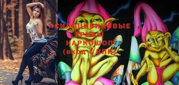 PSILOCYBIN Абдулино
