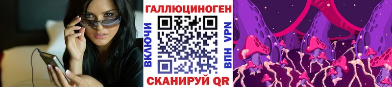 blacksprut   Сафоново  Псилоцибиновые грибы Cubensis 