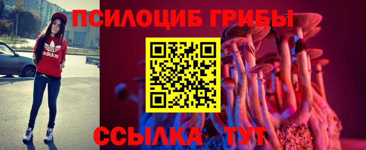 Псилоцибиновые грибы MAGIC MUSHROOMS  Вход с VPN  Сафоново 